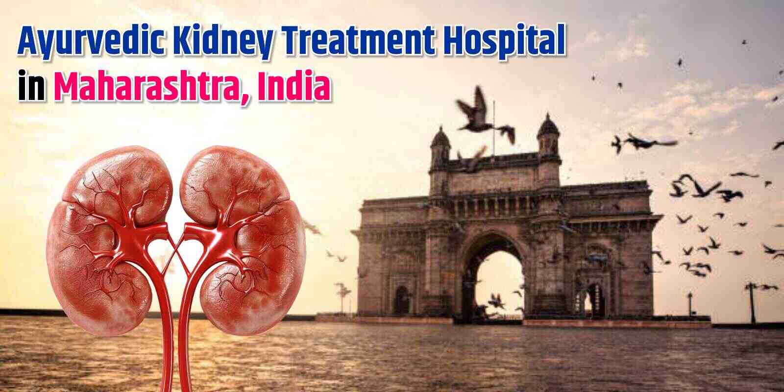 Ayurvedic Kidney Treatment Hospital in Maharashtra, India